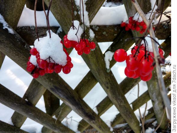Но синоптики говорят что скоро это всё растает...