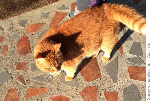 Рыжий Лёнька