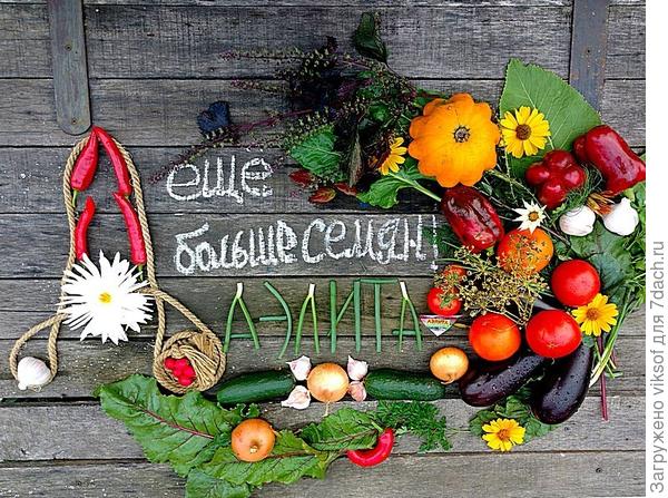 Аэлита - волшебница!!!