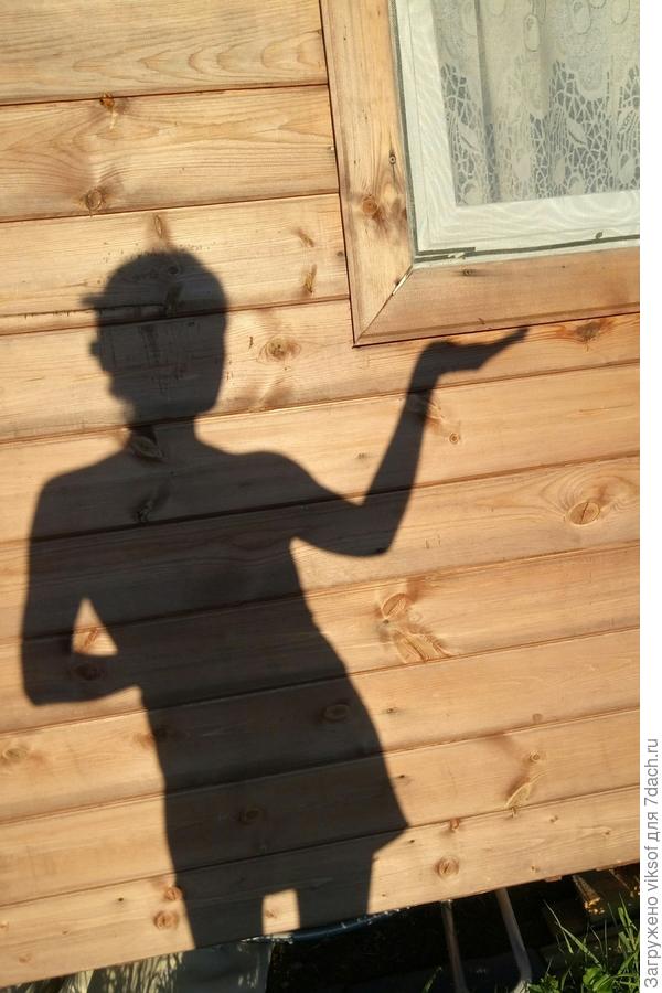 ... и всё-то на ней держится!!!