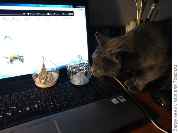 и от Витаса большой привет