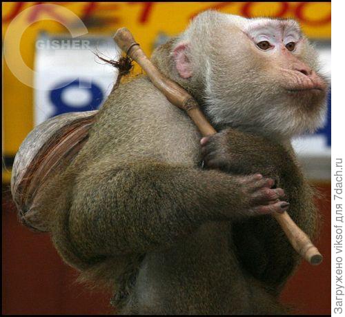 ...пошла, до следующего твоего рецепта