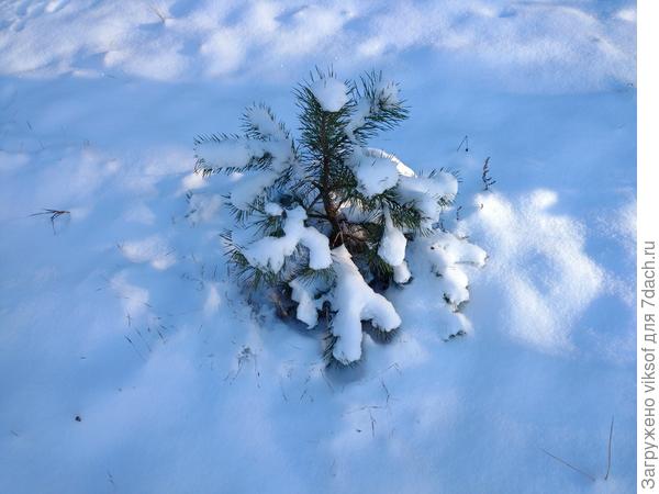 А было так красиво!