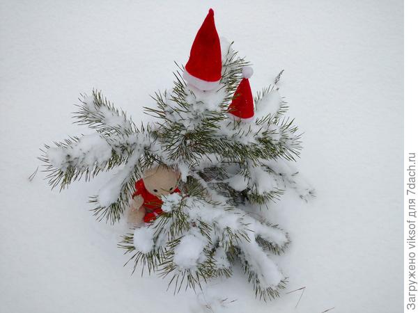 По дороге в кооператив