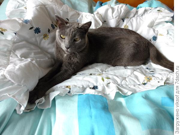 Ты же ж не думала, что я одна к тебе загляну...