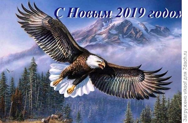 Не удивляйся! Год Свиньи пусть празднуют китайцы, а у славян наступит год парящего орла! Ты его случайно не видел там, в горах? Попроси у него для всех здоровья и мира...