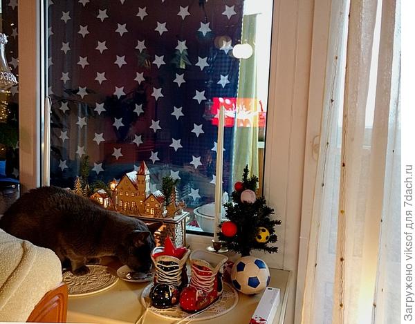 и Витас поздравляет, вот сейчас перекусит и скажет своё волшебное мяу