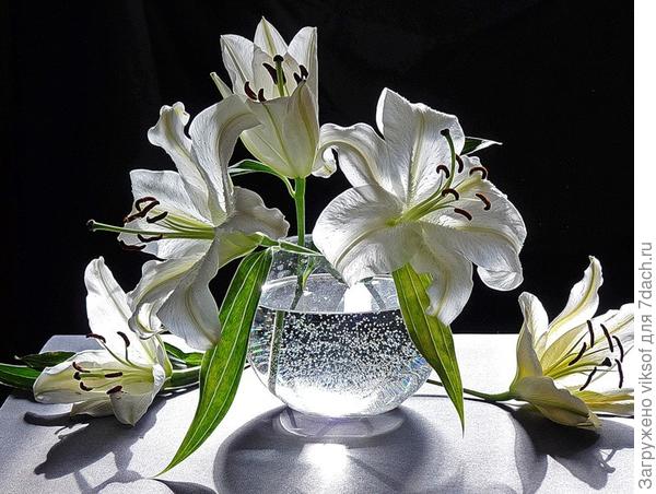 Я знаю - Вы очень любите цветы!!! Это для Вас!