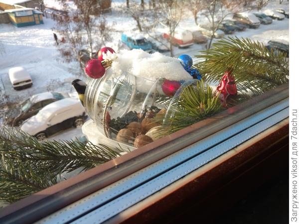 Сегодня морозно - надо синичек поормить