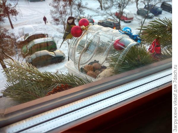 А утро такое красивое и у синичек завтрак, Витаса упросила не мешать им