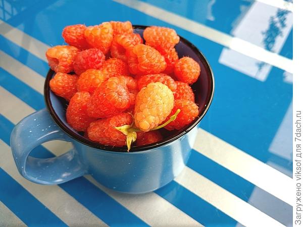 угощайтесь...