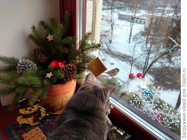 Со Старым Новым годом, тебя, Юленька!