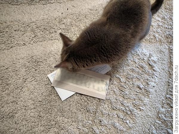 Витас всё проверил и сказал своё мяусспасибо!!!