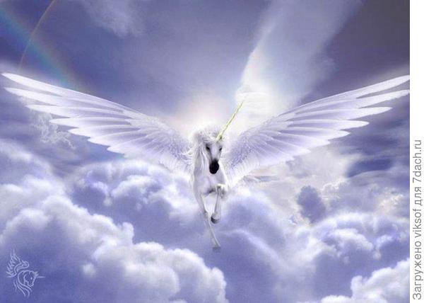 (фото из интернета)