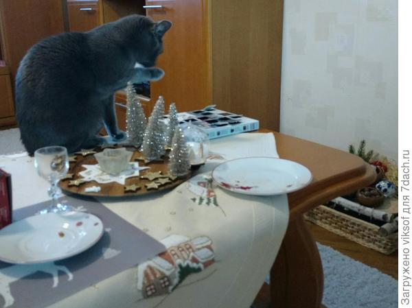 Мурррррррмяу