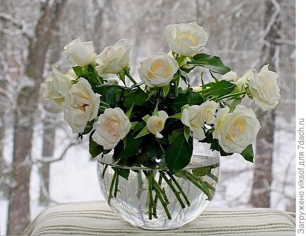 для Вас, Валерий!