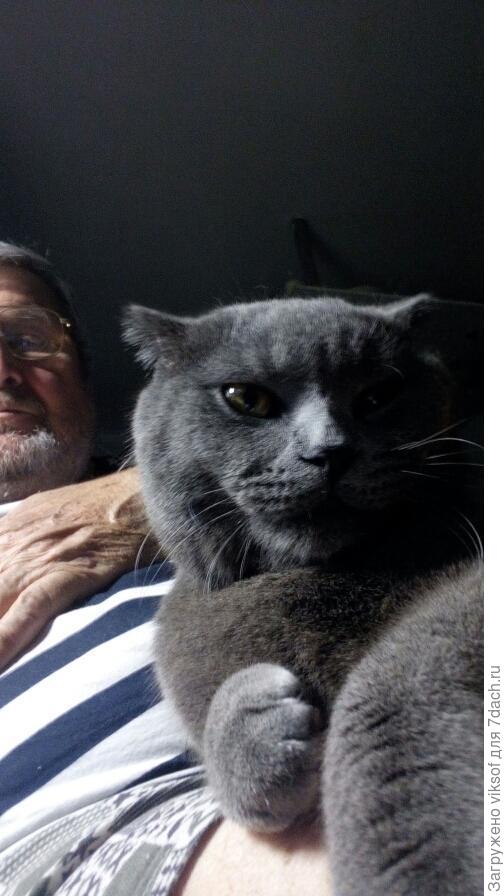 а вот и Валерий со своим замурррчательным котом!