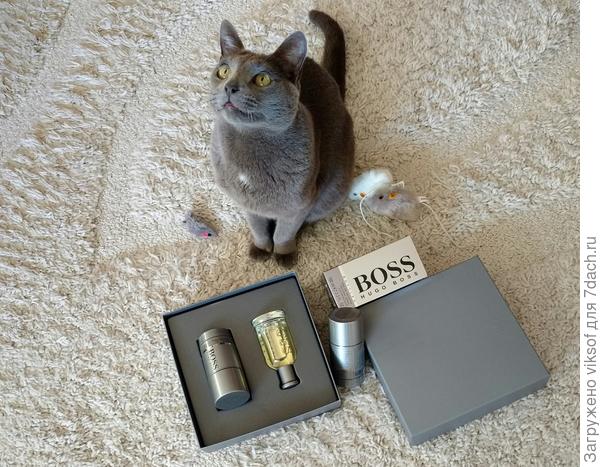 А Витас уже призы подбирает