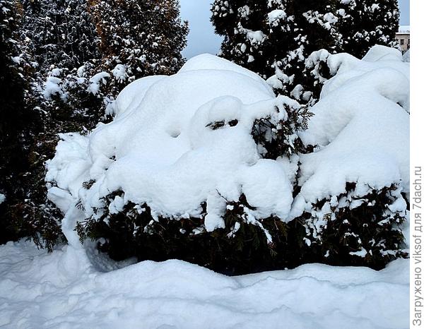 вишь как метёт, самого Карла Марла намело