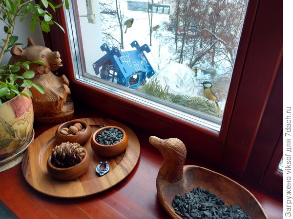 Прикрепила сало кто-то тут же стянул, но вороны у меня воспитанные, может просто упало, надо будет ветку прикрепить и к ней сало привязать.