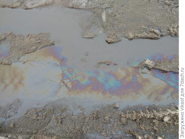 Первая с утра, а эта ближе к обеду, солнышко почти ушло, а с утра чуть-чуть светило, такие у нас ручьи