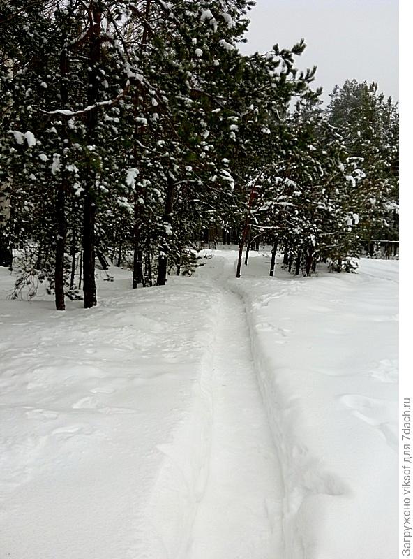 Дорогу на дачу от самой остановки маршрутки до дач чистят сторожа