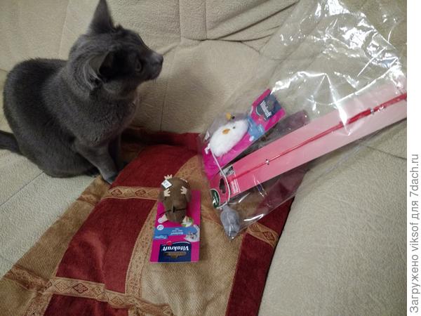 Подарки принимал...