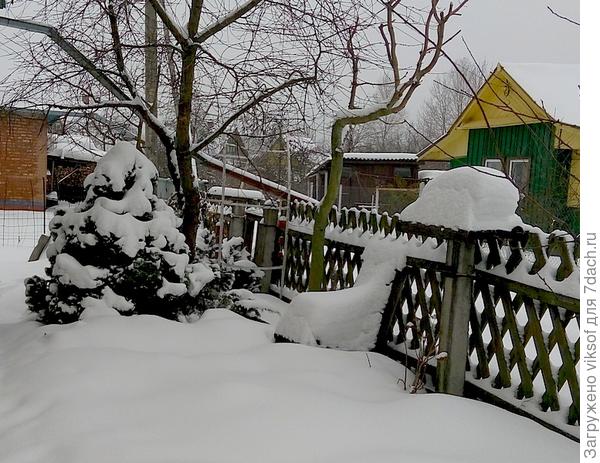 вот моя коника, кресло и таможня Витаса