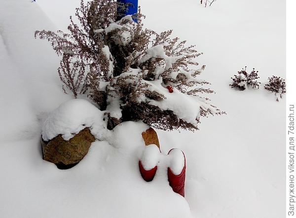 возле крылечка