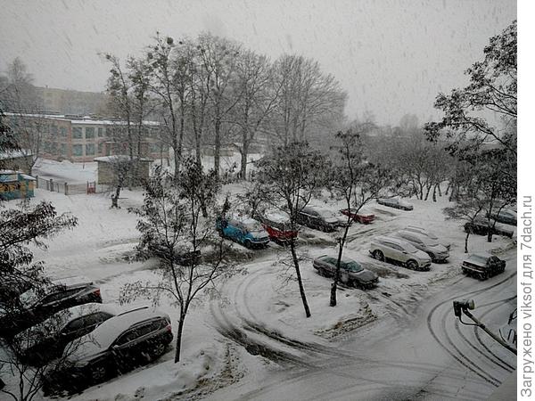 а с балкона сфотографировала настоящий момент - снег, снег, снег