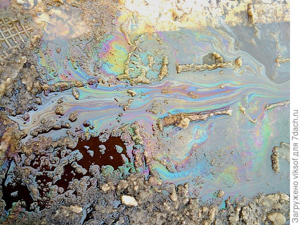 Эту загадку вчера предложила твоей соседушке, моей Наташеньке - не отгадала, а ты, Костя угадаешь?