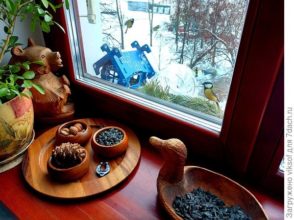 с удовольствием буду любоваться вашими белочками, а у нас только синички ПОКА кормятся...