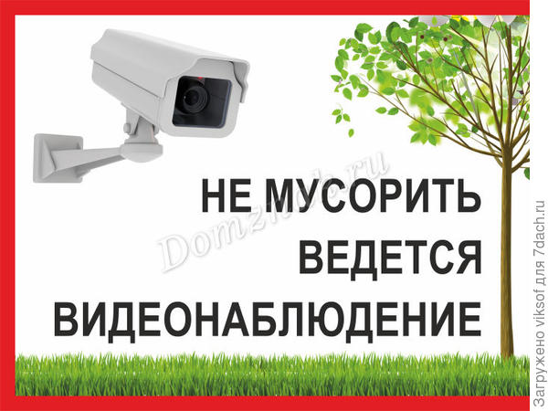 (фото из интернета)