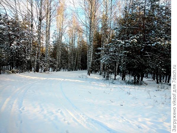 и летом здесь стало чисто, собираем грибы