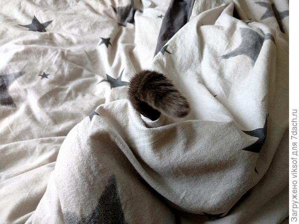 я ушёл отдыхать, мне надА восстановить свои целительные силы