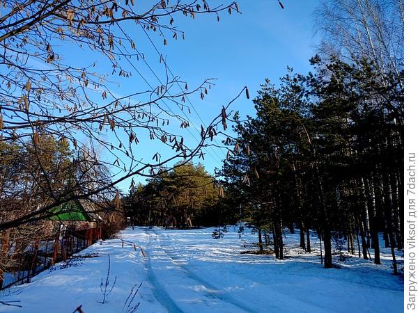 но везде чувствуется - Весна