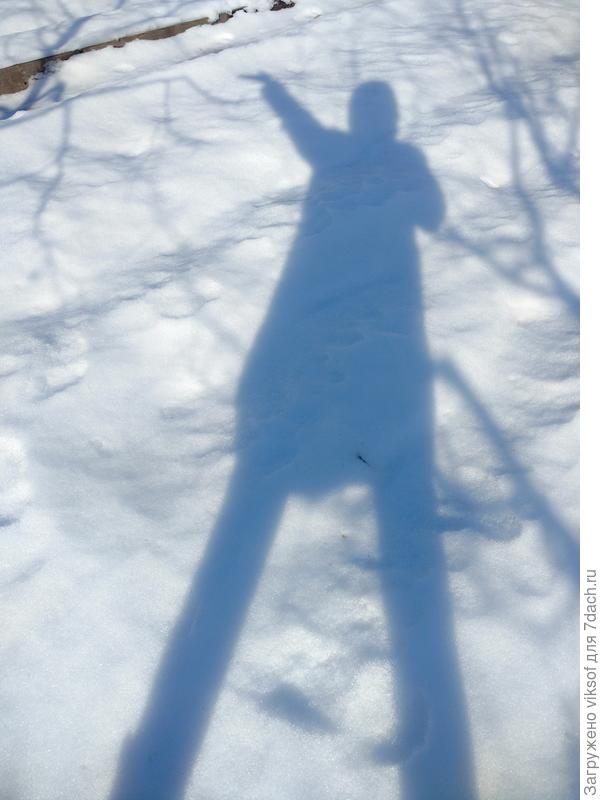 Весь день звала весну