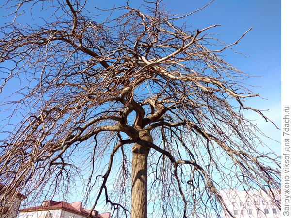 Солнце, но ветер и пыль