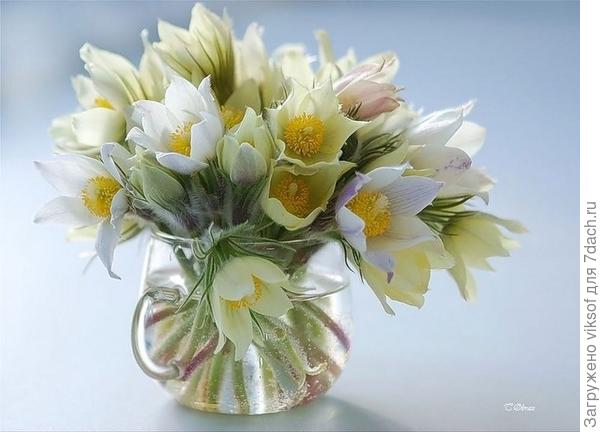 Весна и к нам придёт!