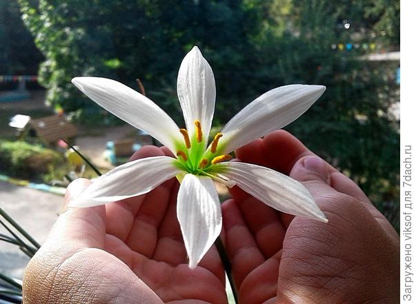 Берегите друг друга!