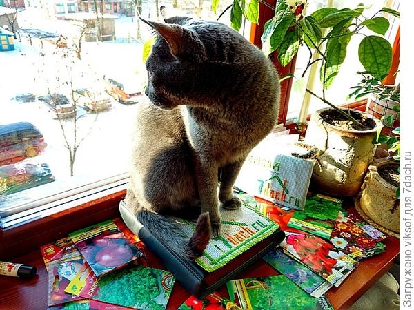 Витас ждёт Весну