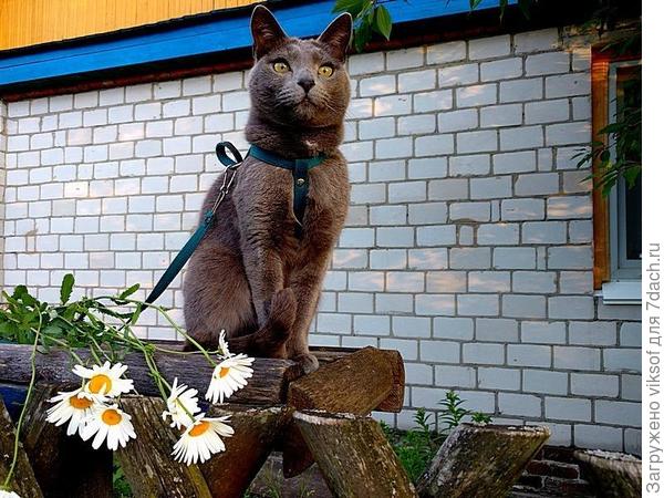 Бусенька! Витас тебя ждёт и очень обожает, как и все в Семидачье!