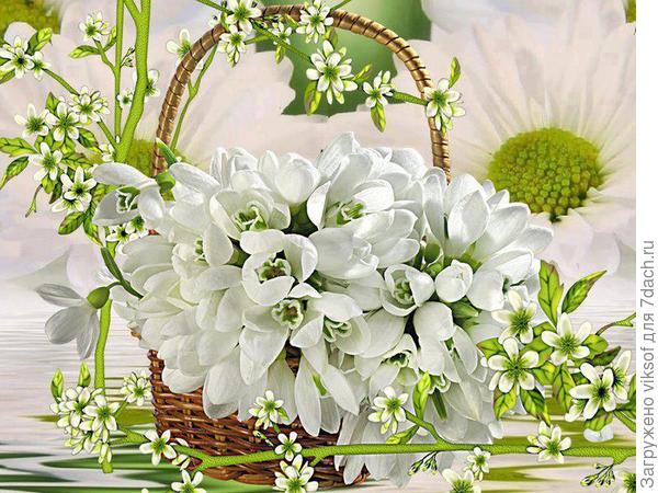 Для тебя, моя дорогая!