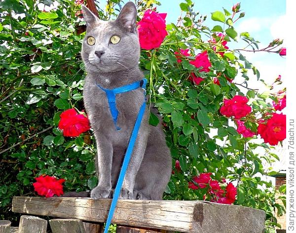 но Витас не растерялся и приглашает Тэм на скамеечку в свой офис на таможне