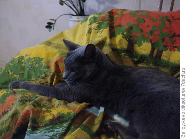 За порядком он любит следить