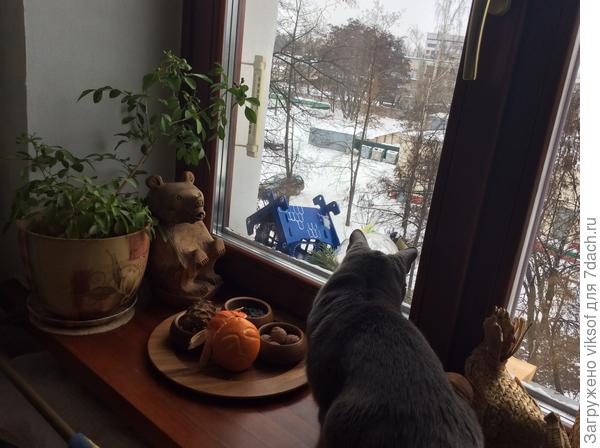 Мой- то шибко по даче скучает...