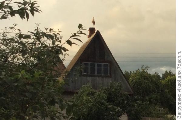 А скоро и аисты прилетят,