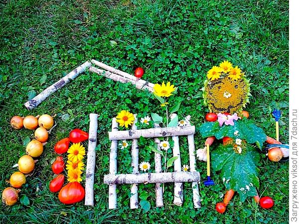 Дачница - семидачница!