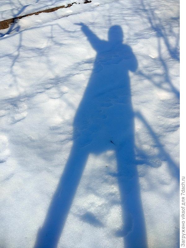 но я Весну громко кликала, вот она и отозвалась