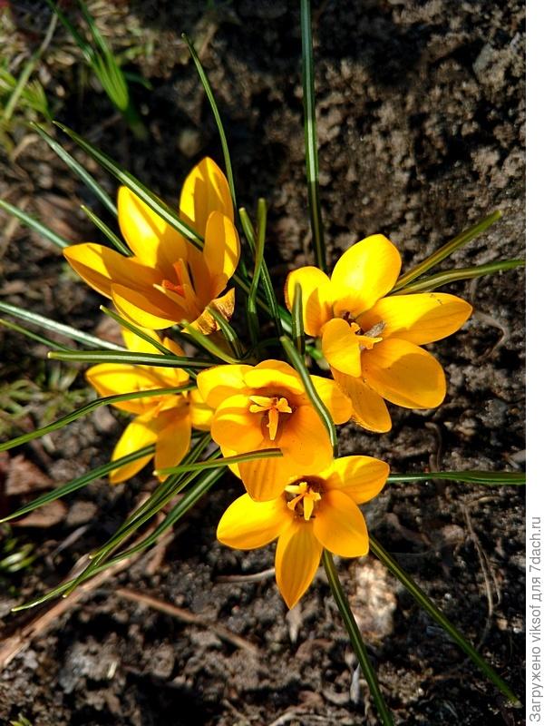 Вот и снова - с Новым годом! Лепота! Всё путём!